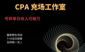 cpa充场工作室，号称单日收入10000+（揭秘）-副业宇宙
