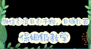 微信互推圈半自动引流方案,矩阵操作日引千人思路【详细视频教程】-副业宇宙