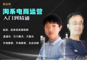 2023手淘搜索实操课+体系化课程，​起店起单品实操视频课程-副业宇宙