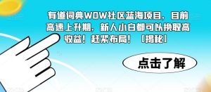 有道词典WOW社区蓝海项目,目前高速上升期,新人小白都可以换取高收益!赶紧布局!【揭秘】-副业宇宙