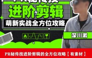 PR进阶剪辑培训班，让你快速成为剪辑大师12节视频课程+素材！-副业宇宙