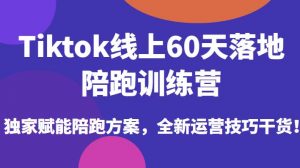 Tiktok线上60天落地陪跑训练营，独家赋能陪跑方案，全新运营技巧干货-副业宇宙