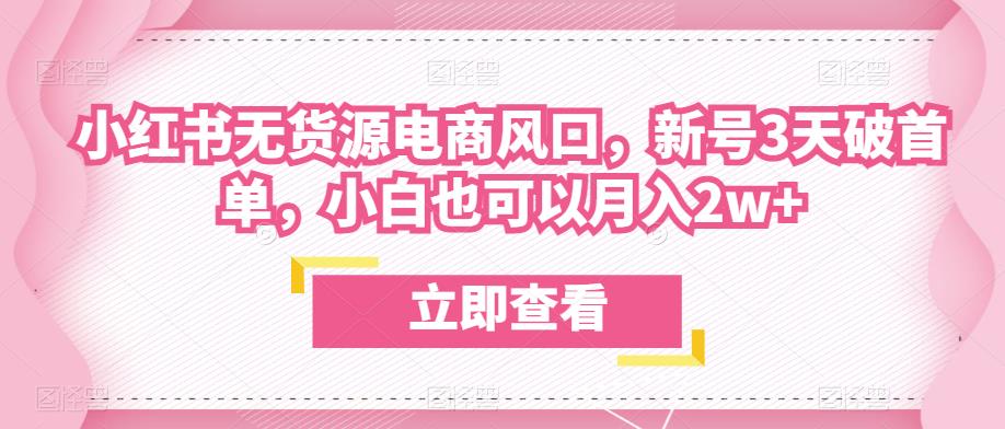 众狼电商余文小红书无货源电商风口，新号3天破首单，小白也可以月入2w+-副业宇宙