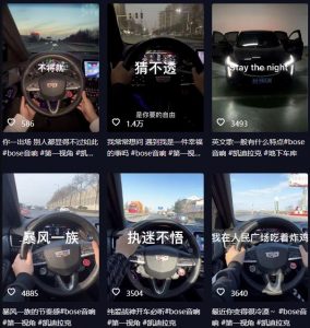 抖音开车视频项目，0基础操作，每天五分钟，月入1W+【揭秘】-副业宇宙