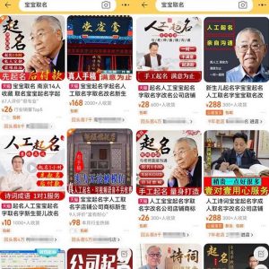 拆解小红书宝宝起名虚拟副业项目，一条龙实操玩法分享给你（教程+软件）-副业宇宙