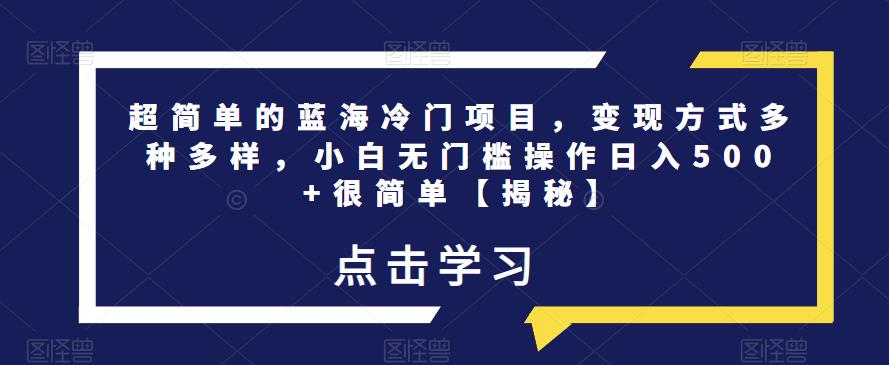 超简单的蓝海冷门项目，变现方式多种多样，小白无门槛操作日入500+很简单【揭秘】-副业宇宙