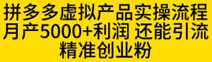 拼多多虚拟产品实操流程,月产5000+利润,还能引流精准创业粉【揭秘】-副业宇宙