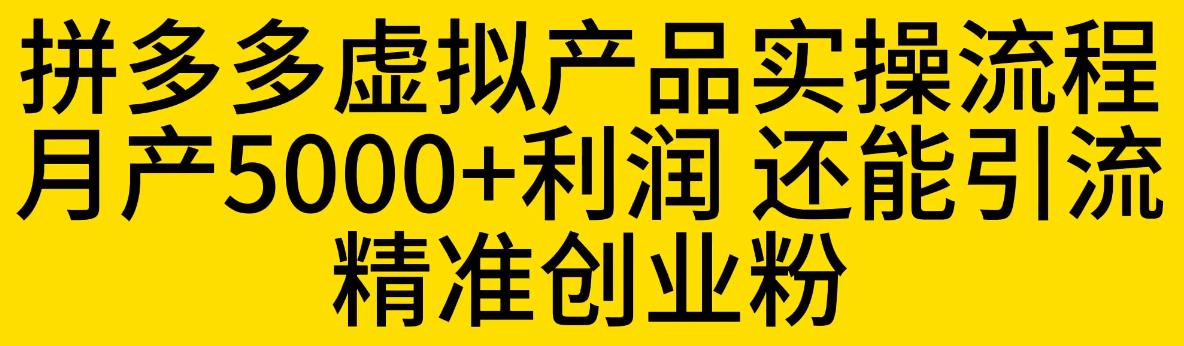 拼多多虚拟产品实操流程，月产5000+利润，还能引流精准创业粉【揭秘】-副业宇宙