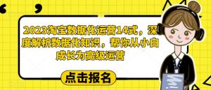 2023淘宝数据化运营14式，深度解析数据化知识，帮你从小白成长为高级运营-副业宇宙