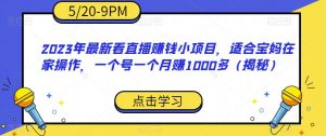 2023年最新看直播赚钱小项目,适合宝妈在家操作,一个号一个月赚1000多(揭秘)-副业宇宙