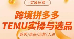 伍跃·跨境拼多多TEMU实操与选品，​趋势/选品/运营/入住（27节完整）-副业宇宙
