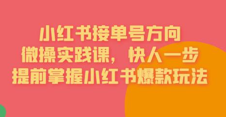 接单号方向·小红书微操实践课，快人一步，提前掌握小红书爆款玩法-副业宇宙