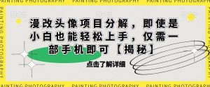 漫改头像项目分解，即使是小白也能轻松上手，仅需一部手机即可【揭秘】-副业宇宙