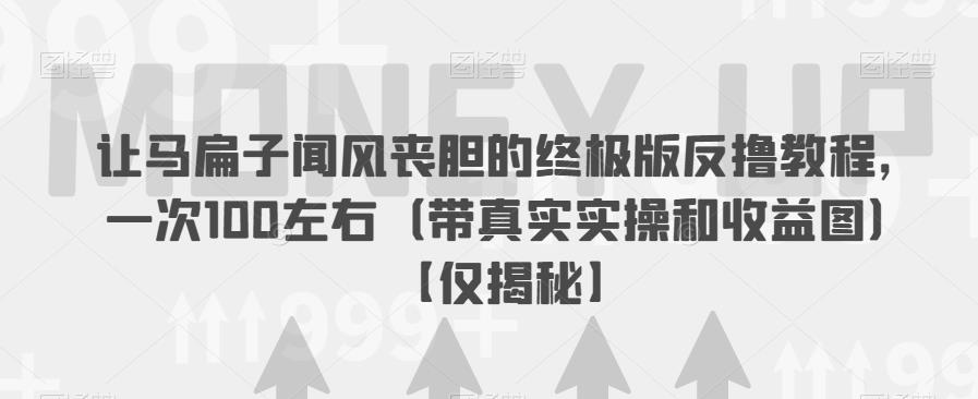 让马扁子闻风丧胆的终极版反撸教程，一次100左右（带真实实操和收益图）【仅揭秘】-副业宇宙