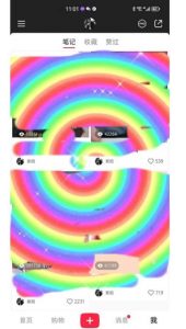 冷门高利润项目，小红书带货，无脑搬运，一部手机实现日入500+【揭秘】-副业宇宙