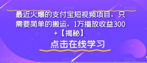 最近火爆的支付宝短视频项目，只需要简单的搬运，1万播放收益300+【揭秘】-副业宇宙