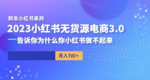 阿本小红书无货源电商3.0，告诉你为什么你小红书做不起来-副业宇宙