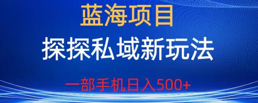 蓝海项目，探探私域新玩法，一部手机日入500+很轻松【揭秘】-副业宇宙