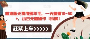 极速版无费用薅羊毛，一天躺赚10-50+，小白无脑操作【拆解】-副业宇宙