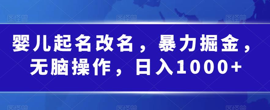 婴儿起名改名，暴力掘金，无脑操作，日入1000+【揭秘】-副业宇宙