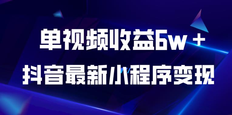 抖音最新小程序变现项目，单视频收益6w＋，小白可做【揭秘】-副业宇宙