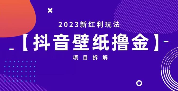 抖音壁纸小程序创作者撸金项目，2023新红利玩法【项目拆解】-副业宇宙
