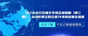 TikTok全方位通关专项企业陪跑【第三期】,从0到1真正的企业TK电商运营全流程-副业宇宙
