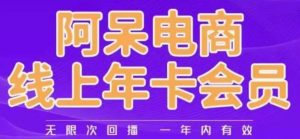 阿呆电商线上年会员，阿呆电商干货分享（更新中）-副业宇宙