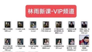 林雨新课VIP频道，玩赚私域/朋友圈/社群-副业宇宙