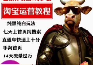 猫老师·淘系算法逆向解密,纯黑纯白玩法,七天上首页纯搜索,手淘首页14天流量过万-副业宇宙