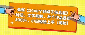 最新《1000个野路子信息差》玩法，文字视频，单个作品暴粉5000+，小白轻松上手【揭秘】-副业宇宙
