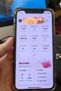 超级蓝海赛道保姆级教学，小红书无货源，无需实拍，如何做到日入1000+【揭秘】-副业宇宙