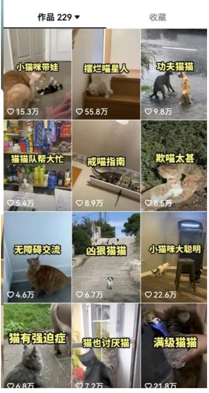 拆解：抖音盘点类中视频变现副业项目，视频版一条龙大解析分享给你-副业宇宙
