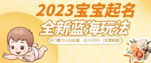 抖音美女图文+音乐推广5.0版本,单日单号500+,0本0粉可矩阵,五分钟一个视频【揭秘】-副业宇宙