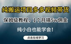 纯搬运项目多多视频带货保姆级教程,1个月搞5w佣金,纯小白也能学会【揭秘】-副业宇宙