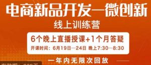 南掌柜·电商新品开发——微创新，电商新品微创新是你企业发展的护城河-副业宇宙