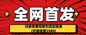 全网首发：抖音免费投放引流实操课(外面收费3980)【揭秘】-副业宇宙