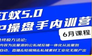红蚁5.0IP操盘手内训营,IP操盘终极方法论-副业宇宙