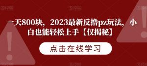 一天800块，2023最新反撸pz玩法，小白也能轻松上手【仅揭秘】-副业宇宙