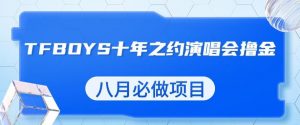 最新蓝海项目,靠最近非常火的TFBOYS十年之约演唱会流量掘金,八月必做的项目【揭秘】-副业宇宙
