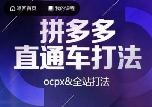 互力·拼多多直通车打法，ocpx&全站打法-副业宇宙