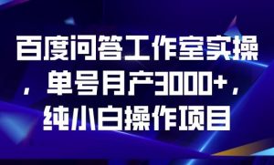 百度问答工作室实操,单号月产3000+,纯小白操作项目【揭秘】-副业宇宙