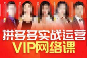 推易拼多多VIP全套直播课程，拼多多店铺实操玩法+实战玩法选款内功+直通车高阶等-副业宇宙