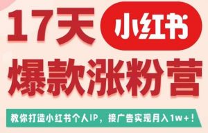 17天小红书爆款涨粉营（广告变现方向），教你打造小红书博主IP、接广告变现的-副业宇宙