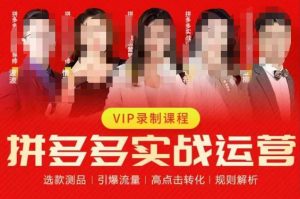 2023推易拼多多实战运营，选款测品、引爆流量、高点击转化、规则解析-副业宇宙