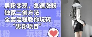 男粉变现，急速涨粉独家二创方法，全套流程教你玩转“男粉项目”【揭秘】-副业宇宙