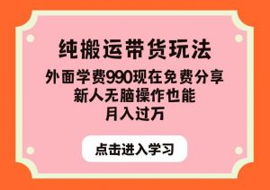 纯搬运带货玩法，外面学费990现在免费分享，新人无脑操作也能月入过万【揭秘】-副业宇宙