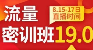 秋秋线上流量密训班19.0,打通流量关卡,线上也能实战流量破局-副业宇宙