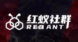 社群运营：红蚁社群【48节落地系统课程+2000人高端社群】-副业宇宙