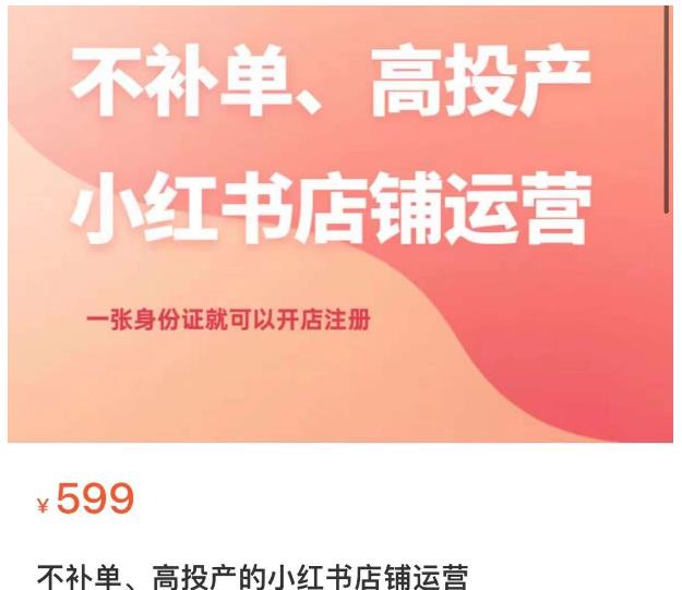 不补单、高投产的小红书店铺运营，一张身份证就可以开店注册-副业宇宙